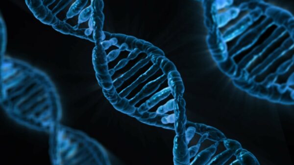 Einen DNA Test kaufen: Was Sie wissen sollten und Verwendung des Kits